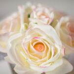 GMR62 – Geurbloemen 5 rozen – Cote Noire