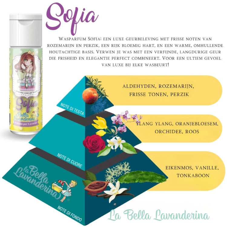 Sofia-wasparfum-La-Bella-Lavanderina-geurpiramide